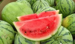 一丝凉爽吃瓜视频大全免费观看,免费观看一丝凉爽吃瓜视频大全