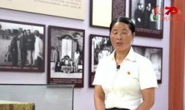 叶飞爆料辰安科技视频,揭秘视频背后的惊人真相